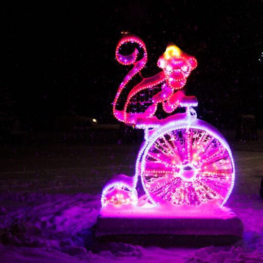 Фотозона цирк