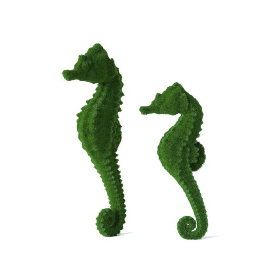 Морской конек