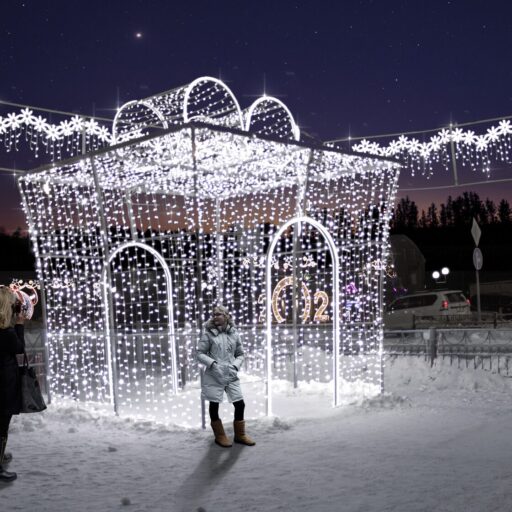 Новогодний подарок светодиодный